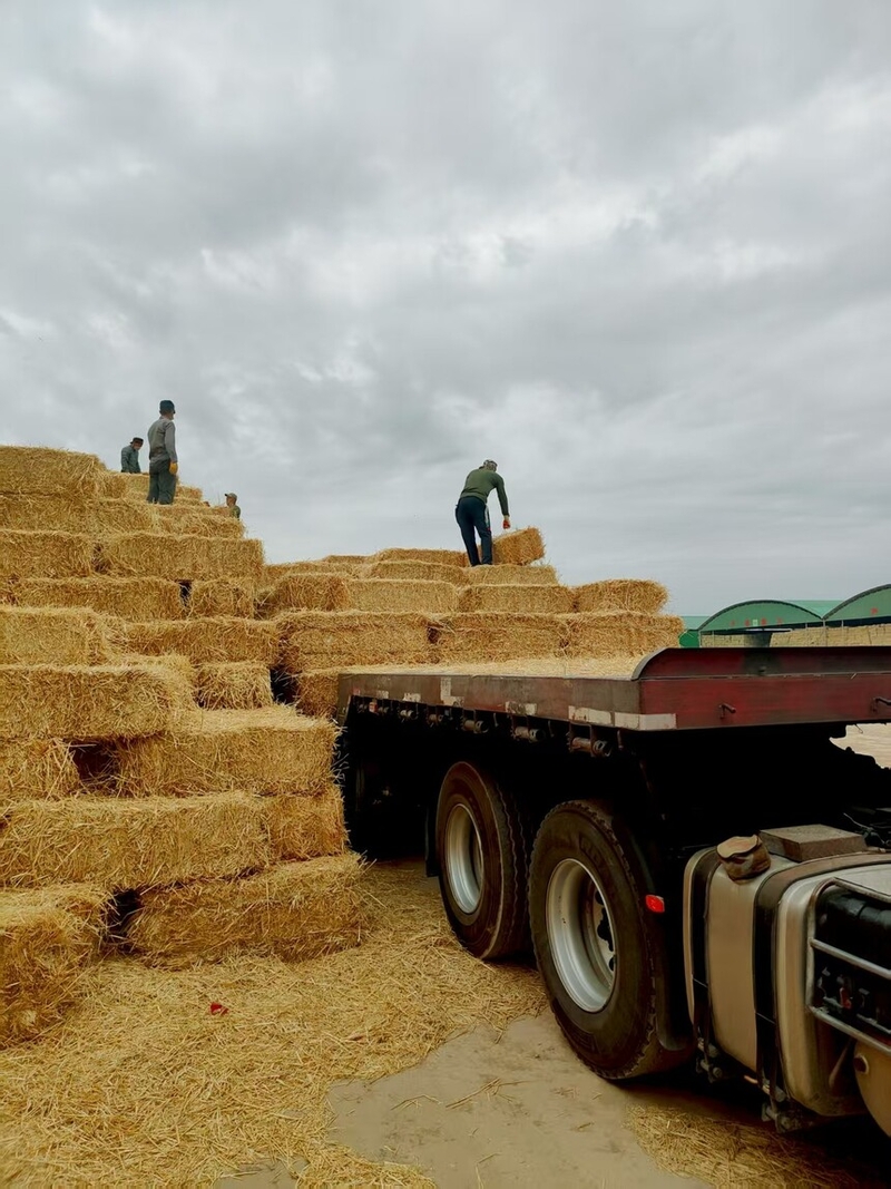 ���������ȫ���ƶ��ո��մ�����ϵ��Ч����