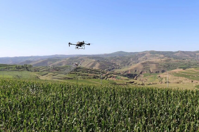 ����ͨμ��ũ���ƹ�������ҵ������ũ������