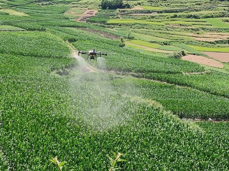 ����������ũ���ƹ㡰���ȭ�� �����ũ�����ճɡ�