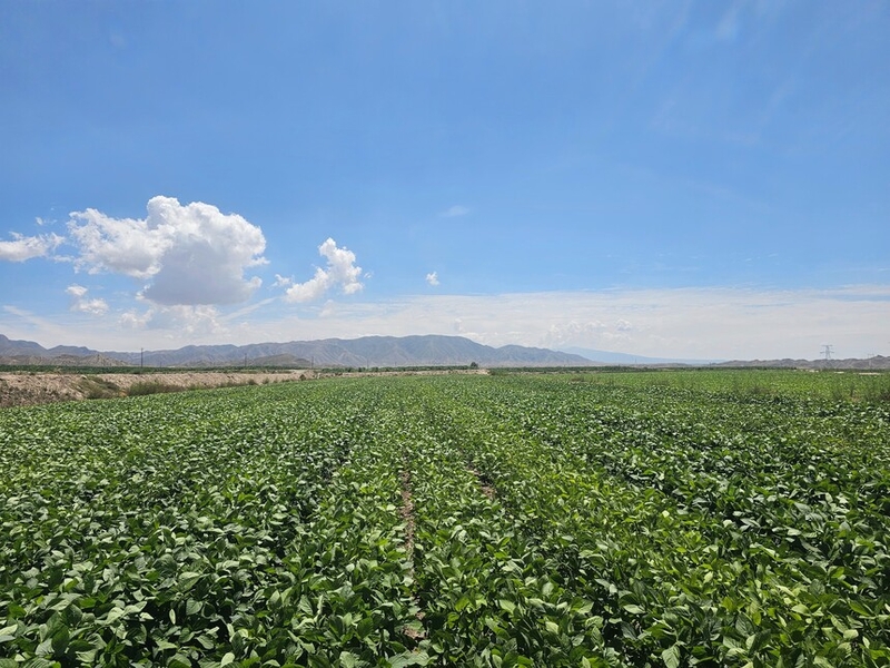 2025��ƽ��������ũ���ƹ���ϵ�ĸ��뽨����ĿԲ����ɸ�������