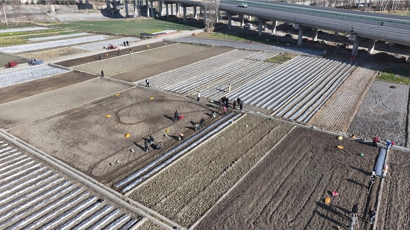 ũ���������������� �䶼��䲥��æ