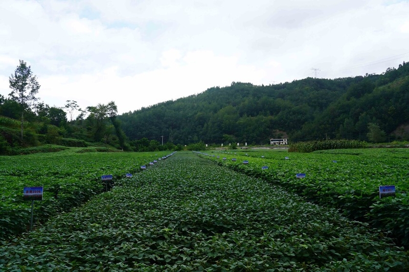 ¤�Ͽ��أ�ũ������ �󶹳ɡ��ƽ��ҵ��