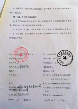 合同案例