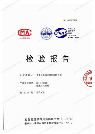 隧道型檢驗(yàn)報(bào)告