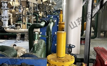 中國(guó)石油集團(tuán)濟(jì)柴動(dòng)力有限公司燃?xì)怆姶砰y項(xiàng)目現(xiàn)場(chǎng)