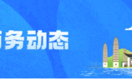 云南省商务厅关于暂停2025年云南省汽车