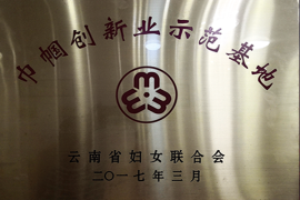 巾幗創新業示范基地