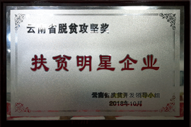 扶貧明星企業牌