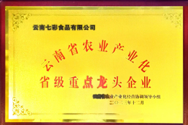 七彩省級重點龍頭企業