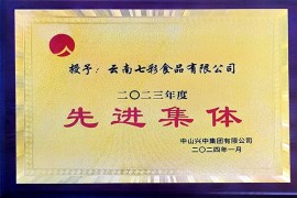 2023年先進集體