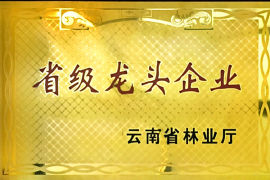 省級龍頭企業