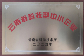 云南省科技型中小企業