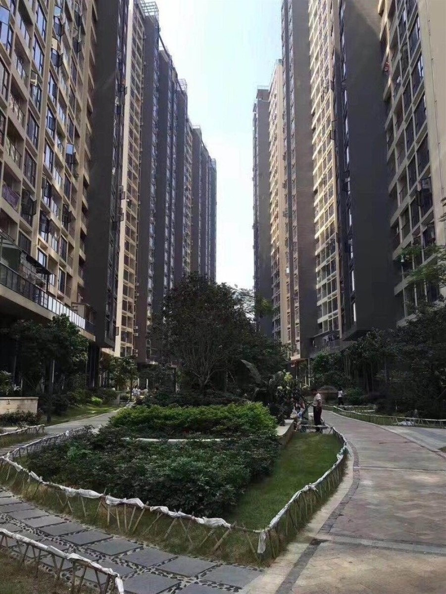 深圳宝安西乡沙井小产权房法拍房 龙岗回迁房 坪山平湖小产权房 东莞虎门 凤岗寮步塘厦 小产权房信息网