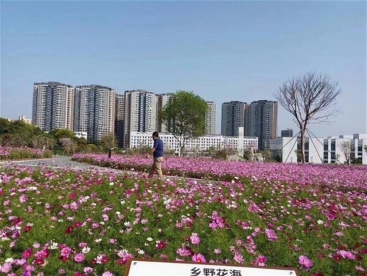 深圳宝安西乡沙井小产权房法拍房 龙岗回迁房 坪山平湖小产权房 东莞虎门 凤岗寮步塘厦 小产权房信息网