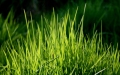 Nķ(w)Є(dng)---СӛѻݳُMNķ(w)