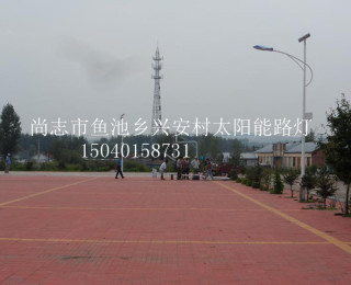 成功案例