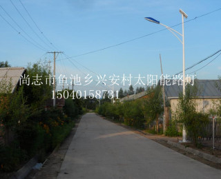 成功案例