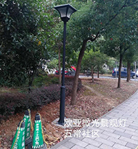 杭州余杭五常社区