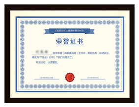 榮譽(yù)資質(zhì)