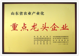企業(yè)榮譽(yù)