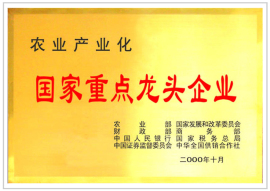 企業(yè)榮譽(yù)