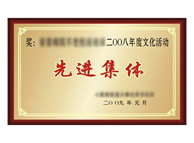 某某荣誉二等奖