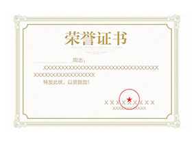 某某荣誉二等奖