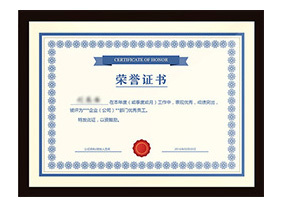 某某荣誉二等奖