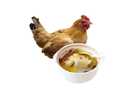 正宗土雞