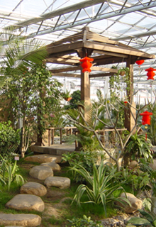沈陽(yáng)世博園