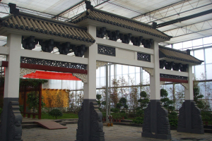 戲水