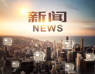 張勇會見世界衛生組織總干事陳馮富珍一行
