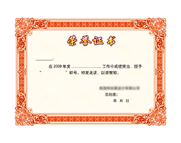 公司荣誉