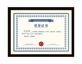 公司荣誉