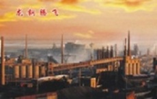 龍鋼集團(tuán)