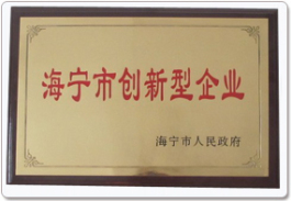 海寧市創(chuàng)新型企業(yè)