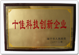 十佳科技創(chuàng)新獎(jiǎng)