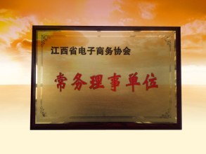江西省電子商務(wù)協(xié)會常務(wù)理事單位