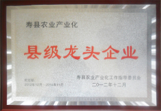 县级龙头企业
