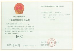 DDS199型批準(zhǔn)證書(shū)