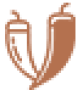 9686906_1546415692