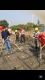 mmexport1462183959038 -  - 