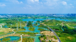 黃泗浦生態(tài)核心區(qū)生態(tài)修復(fù)項目