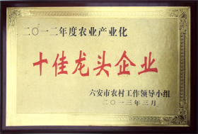 2012年度农业产业化十佳龙头企业