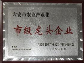 08年市级龙头企业