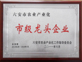 11年市级龙头企业