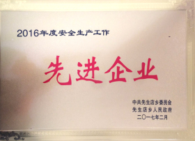 2016年安全生产工作先进企业
