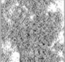 �������0.2mm