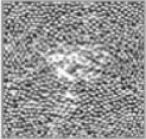 �������0.3mm