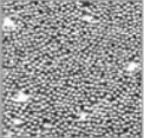 �������0.4mm